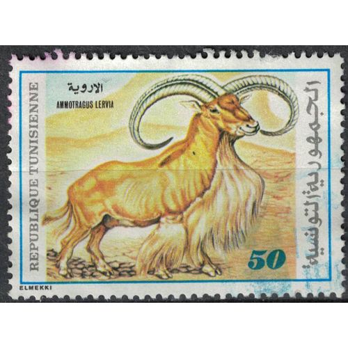 Tunisie 1980 Oblitéré Used Animal Ammotragus Lervia Mouflon À Manchettes Su