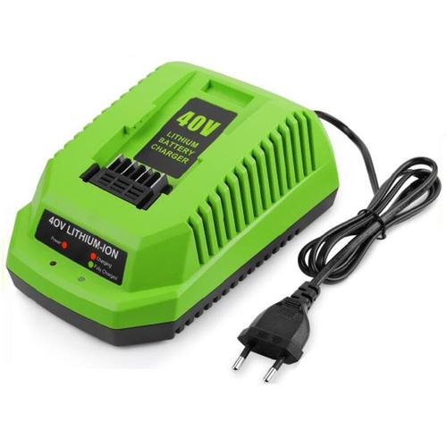 Chargeur de Batterie au Lithium 40V pour GreenWorks 29482 G-MAX 40V Batterie Li-Ion 29472 29482 29652 G40825 Prise Europ¿¿Enne