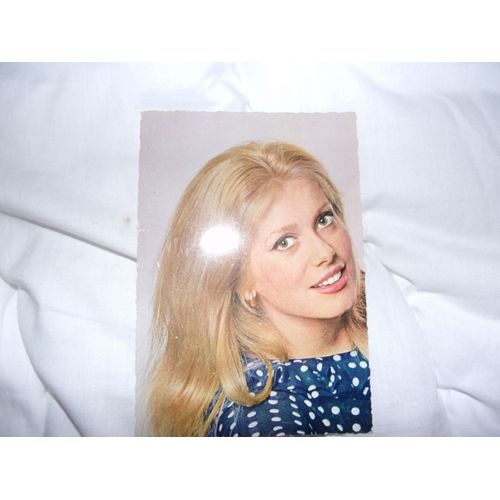 Carte Postale En Couleur 10x 15 Cm Des Années 1960, Catherine Deneuve, D' Après Une Photographie De Patrick De Mervellec