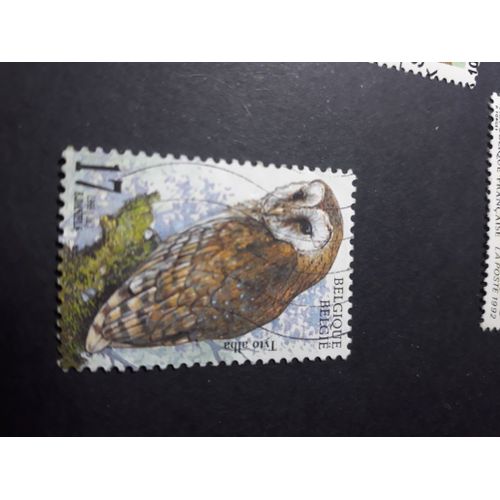 Timbre Belgique Chouette Hibou Tp12