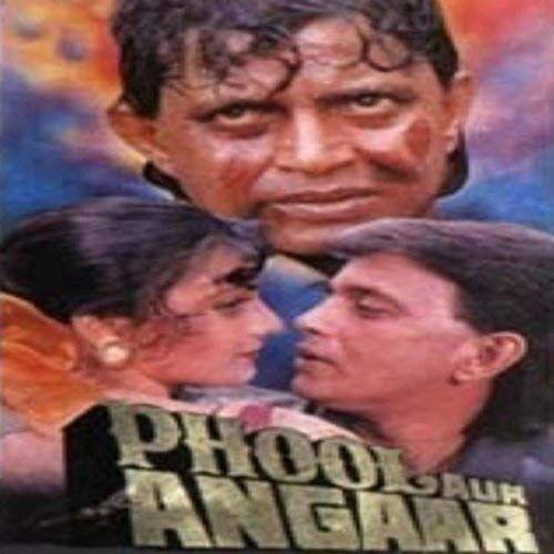 Phool Aur Angaar - Mithun Chakraborty,Shanti Priya - Dvd