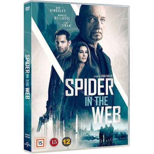 Spider In The Web