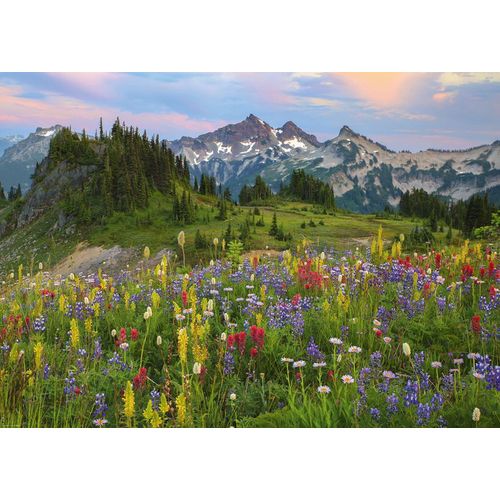 Puzzle 2000 Pièces Tatoosh Mountains