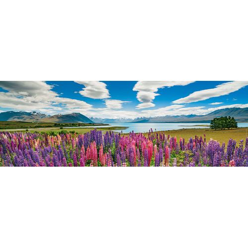 Puzzle 1000 Pièces Lake Tekapo