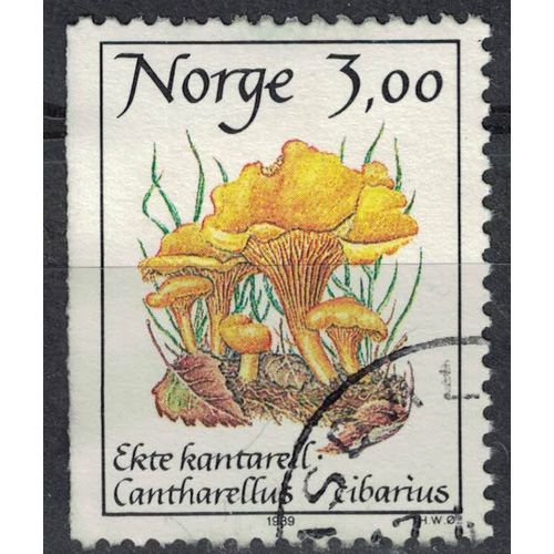 Norvège 1989 Oblitéré Used Mushrooms Champignons Cantharellus Cibarius Girolle Su