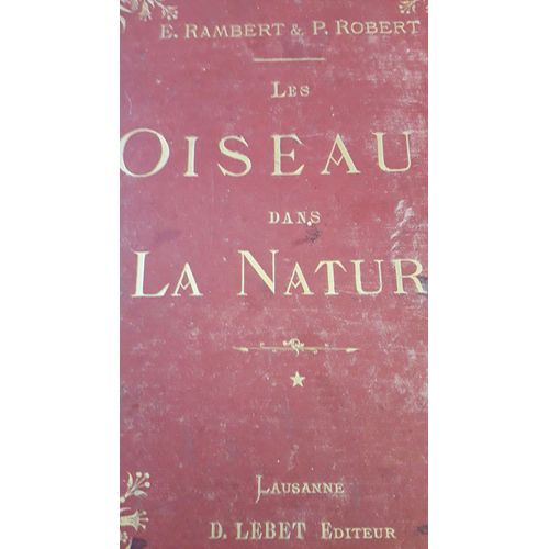 Oiseaux Dans La Nature