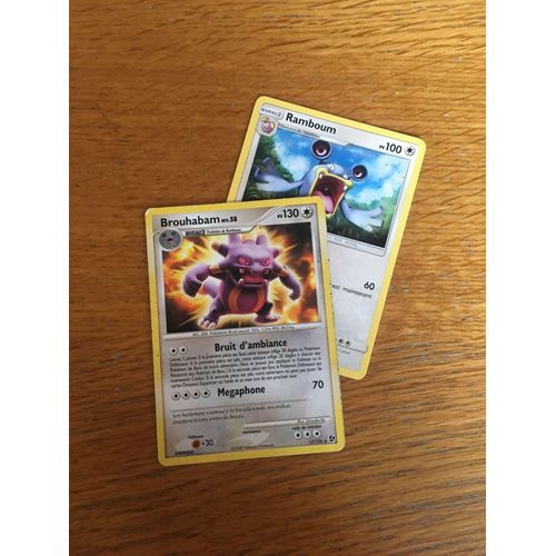 (145) Brouhabam + Ramboum (Pokemon)