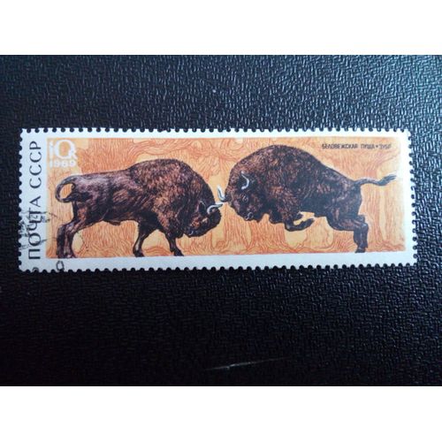 Timbre Russie / Urss Yt 3530 Bison D'europe (Bison Bonasus) 1969 ( 9104 )