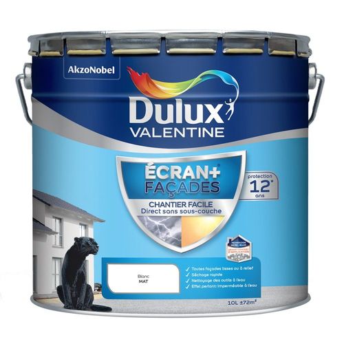 Peinture Écran+ Façades DULUX VALENTINE Blanc Mat 10L