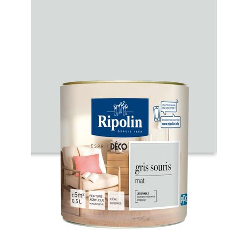 Peinture Murale RIPOLIN Toutes Pièces Esprit Déco mat Gris souris 0,5L