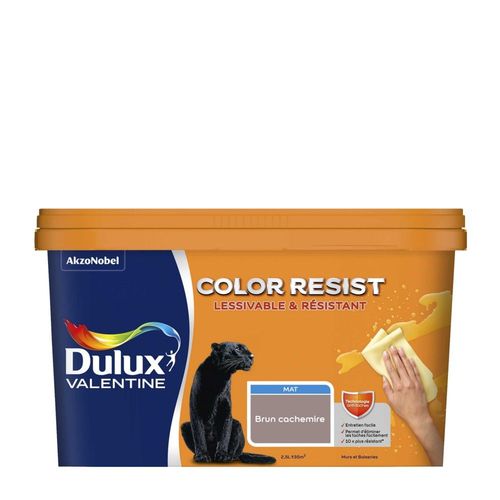 Peinture DULUX VALENTINE Color Resist Murs & Boiseries Mat Brun Cachemire 2,5L