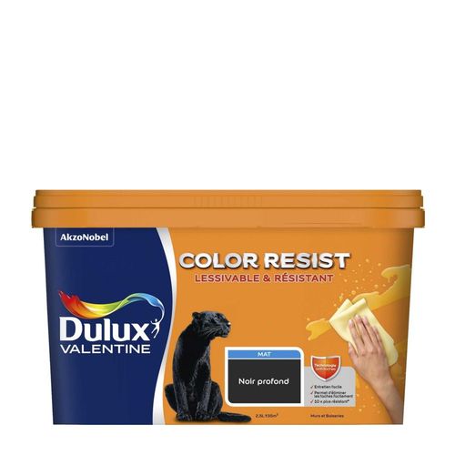 Peinture DULUX VALENTINE Color Resist Murs & Boiseries Mat Noir Profond 2,5L