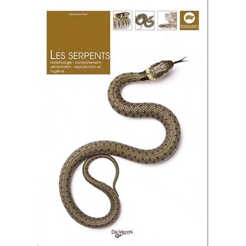 Serpents De France Et D'europe