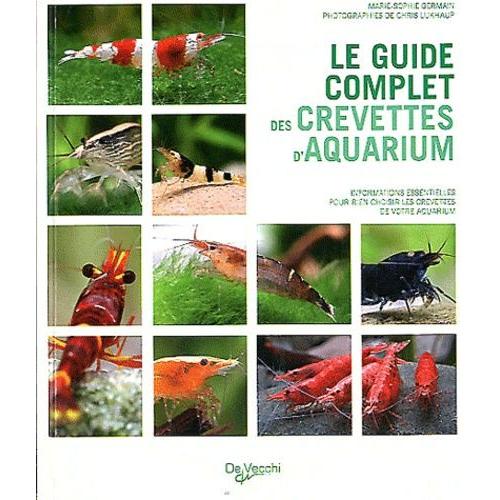 Le Guide Complet Des Crevettes D'aquarium