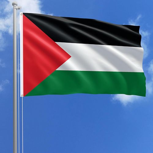 Drapeau Palestine 90 * 150cm, Palestine Flag, Drapeau Palestinien, Palestine Drapeau, Drapeau Palestine Grand, Drapeau Palestine Avec Baton, Drapeau De La Palestine