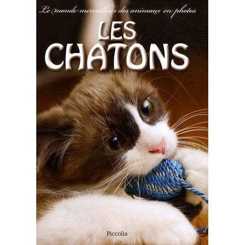 Les Chatons