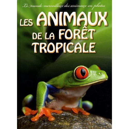 Les Animaux De La Forêt Tropicale