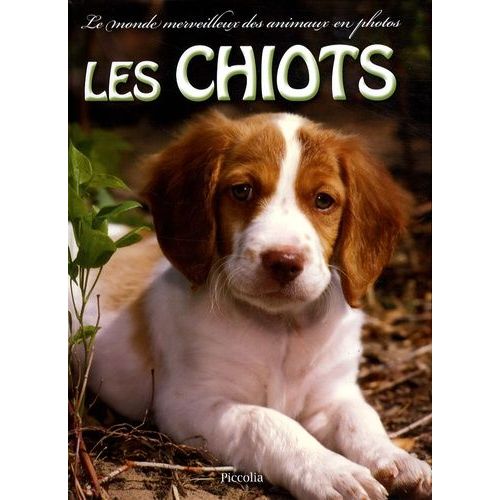 Les Chiots