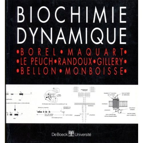 Biochimie Dynamique