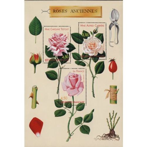 Bloc Roses Anciennes 1999