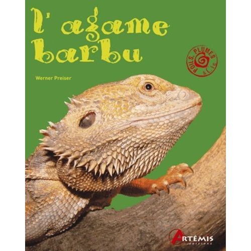 L'agame Barbu