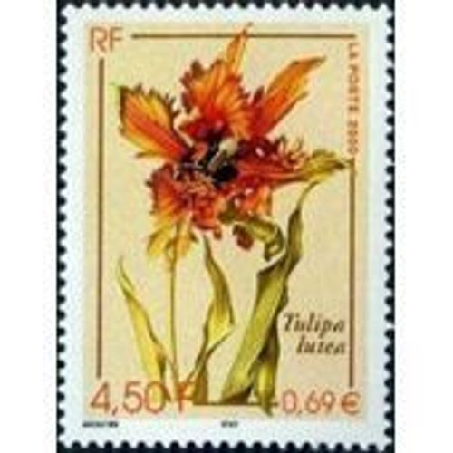 Timbres Tulipa Lutea