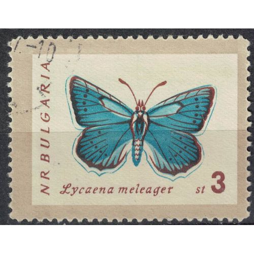 Bulgarie 1962 Oblitéré Used Butterfly Papillon Lycaena Daphnis Azuré De L'orobe Su