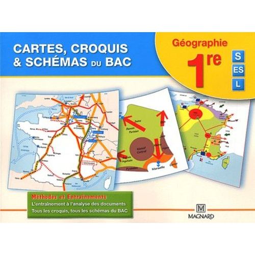 Cartes, Croquis & Schémas Du Bac 1e S Es L - Méthodes Et Entraînements