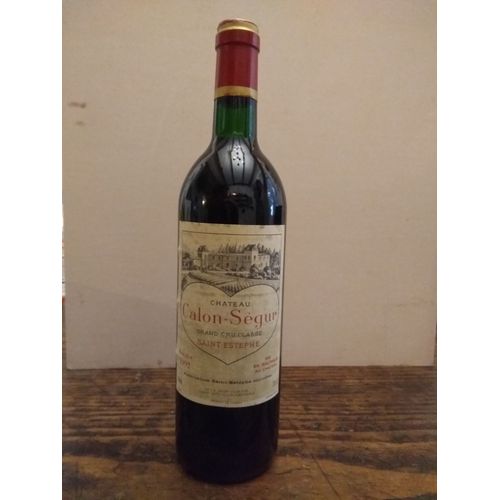 Calon Ségur 1992