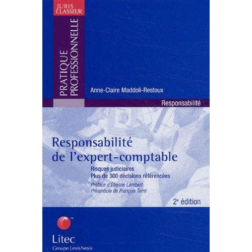 Responsabilité De L'expert-Comptable - Risques Judiciaires