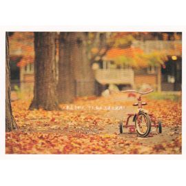 Carte Postale La Vie N° 23 : Dans Un Parc (Automne, Vélo, Message Positif En Chinois)
