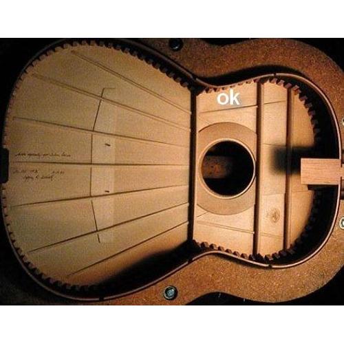 Shadow Micro rosace magnétique guitare folk avec volume