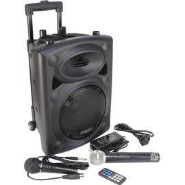 Powered speaker 150W 8 'USB / SD IBIZA SOUND BT8A