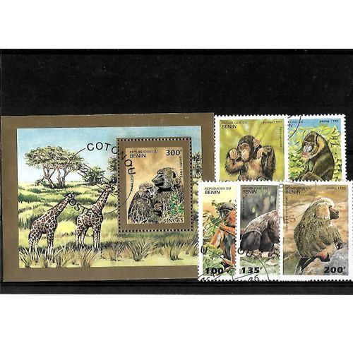 Afrique-Bénin-Lot De 6 Timbres Oblitérés-Très Bon Etat-Photo Contractuelle