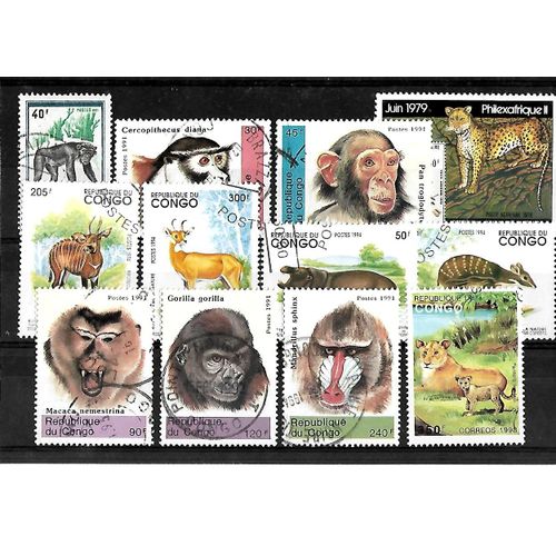 Afrique-Congo-Lot De 12 Timbres Oblitérés-Très Bon Etat-Photo Contractuelle