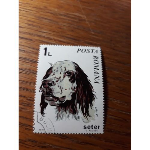 Timbre Chien Dog Roumanie Romana Tp13