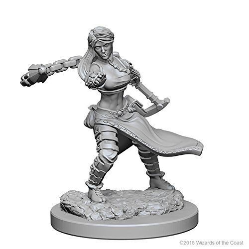 Dungeons Dragons Nolzurs Marvelous Unpainted Minis Human Female Monk