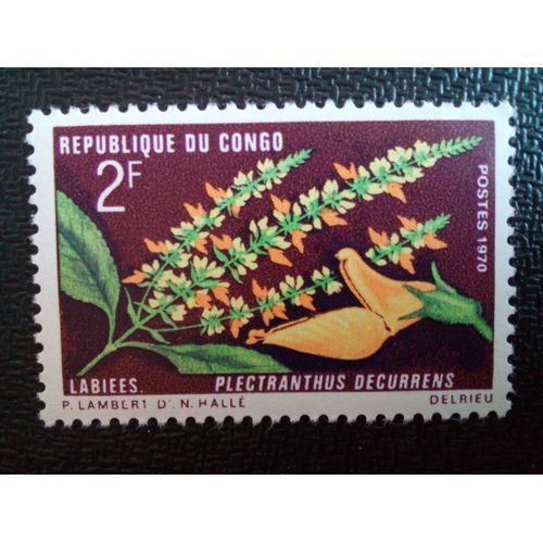 Timbre Congo Yt 269 Plantes Et Coléoptères Plectranthus Decurrens 1970 ( 40204 )