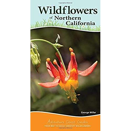 Wildflowers Of Northern California: Your Way To Easily Identify Wildflowers