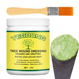 Scellant D'élagage Avec Brosse, Pâte De Greffage D'arbre De Jardin, Agent De Guérison Des Plaies De Bonsaï
