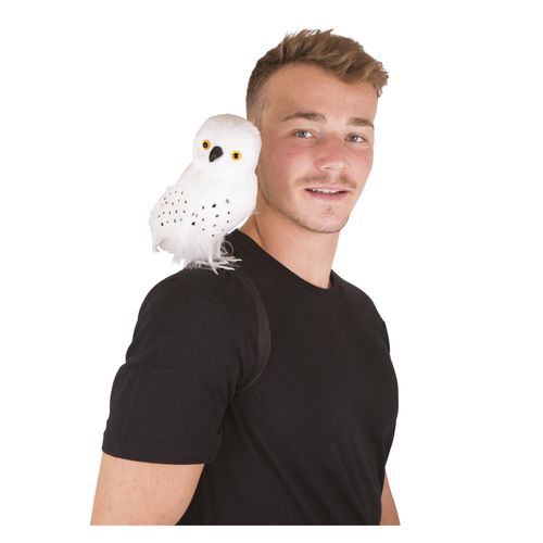 Chouette Blanche De Sorcier