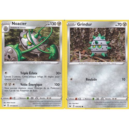 2 Cartes Pokemon - Noacier - 131/202 + Grindur - 130/202 - Épée Et Bouclier