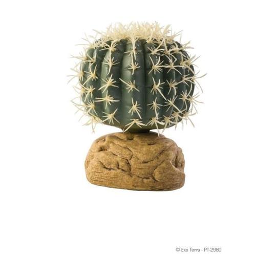 Exo Terra Decoration Cactus Oursin - Petit Modele - Pour Les Reptiles Et Les Amphibiens