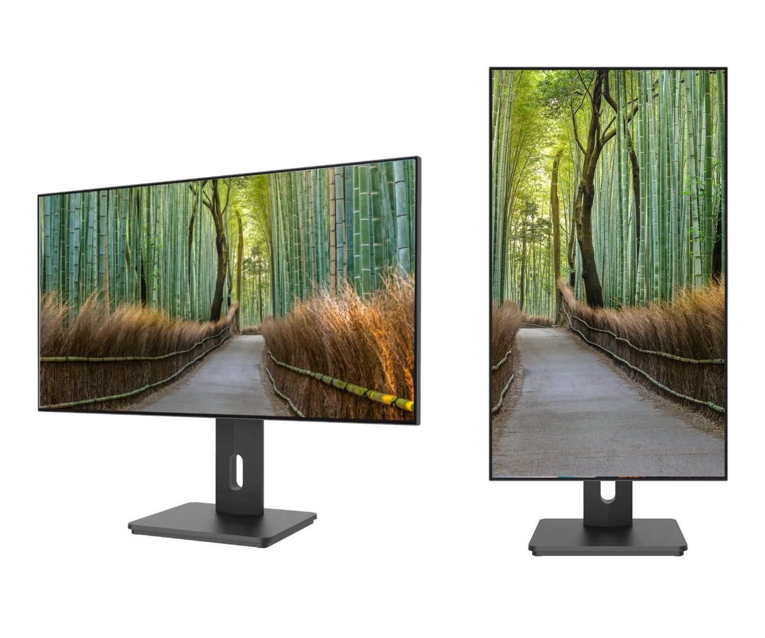 null image 5 | Rakuten