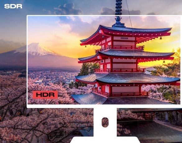 null image 4 | Rakuten
