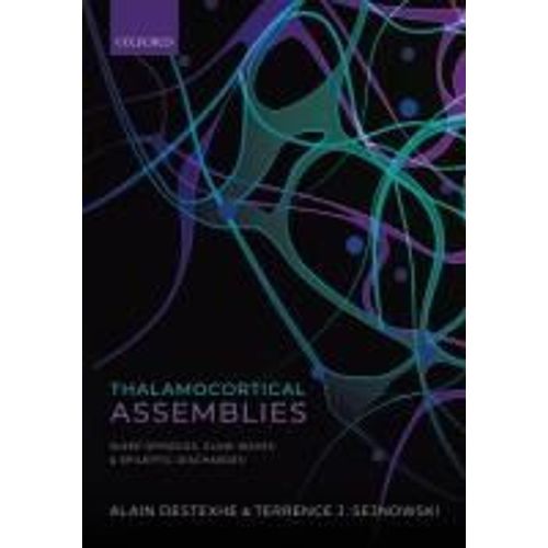 Thalamocortical Assemblies