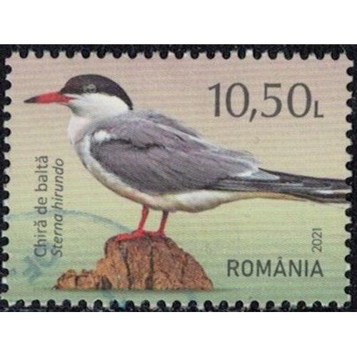 Roumanie 2021 Oblitéré Used Oiseau Sterna Hirundo Sterne Pierregarin Y&t Ro 6679 Su
