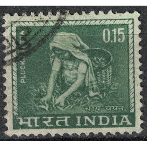 Inde 1965 Oblitéré Used Plucking Tea Plumant Les Feuilles De Thé Su