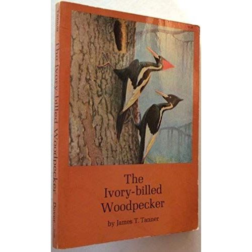 The Ivory-Billed Woodpecker,