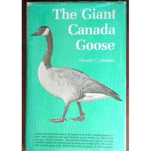 The Giant Canada Goose
